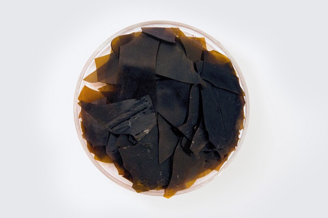 機(jī)制蟲(chóng)膠片.jpg